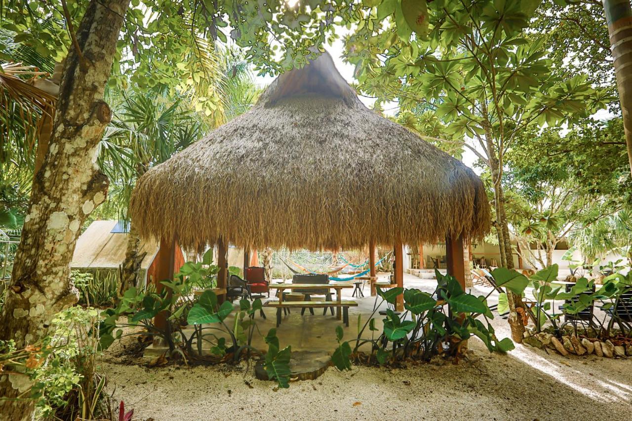 Bufo Alvarius Sanctuary Bacalar Buenavista  Exterior foto