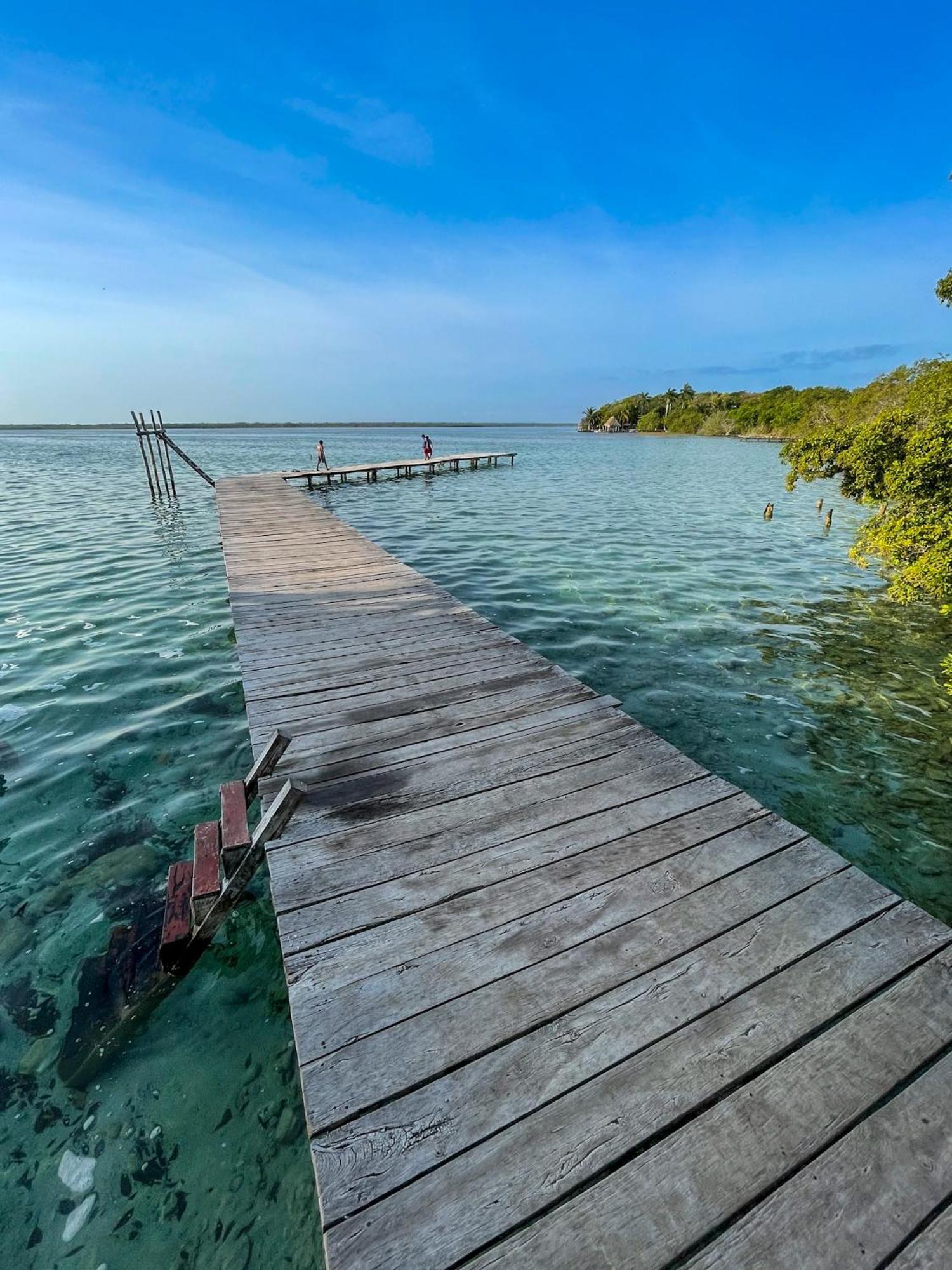 Bufo Alvarius Sanctuary Bacalar Buenavista  Exterior foto