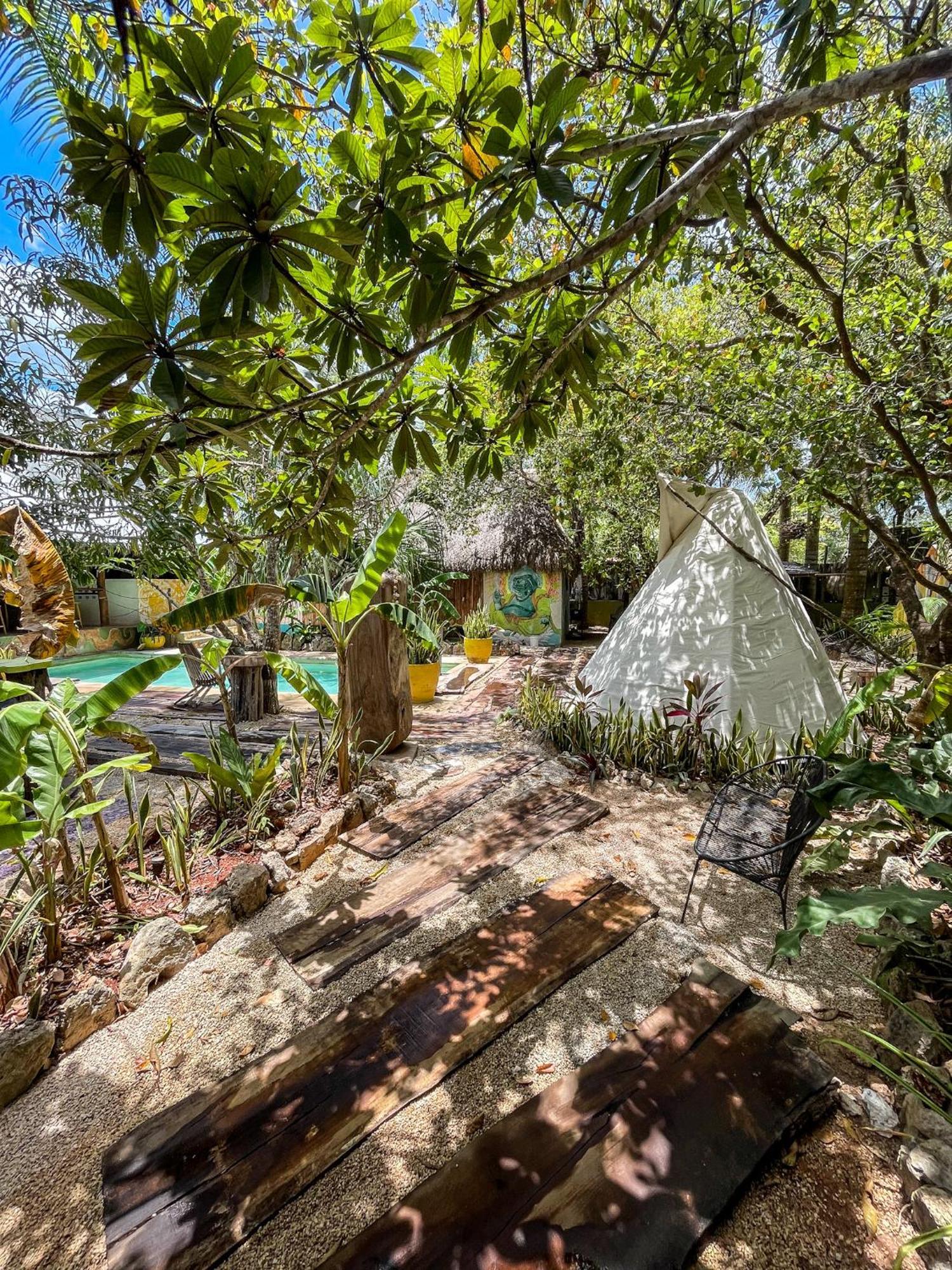 Bufo Alvarius Sanctuary Bacalar Buenavista  Exterior foto
